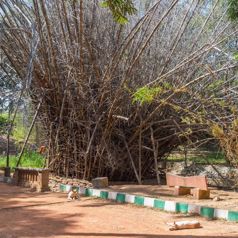 India 2014 - Bangalore 004.jpg